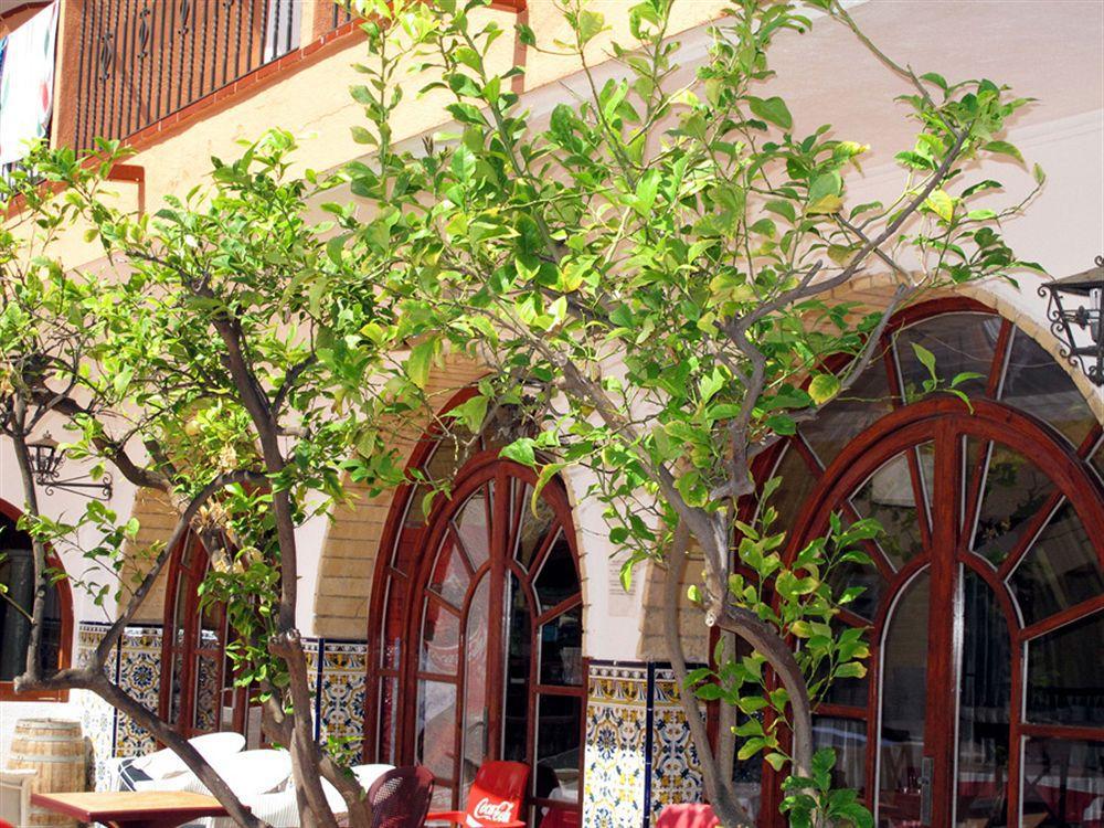 Hotel Comarruga Platja المظهر الخارجي الصورة